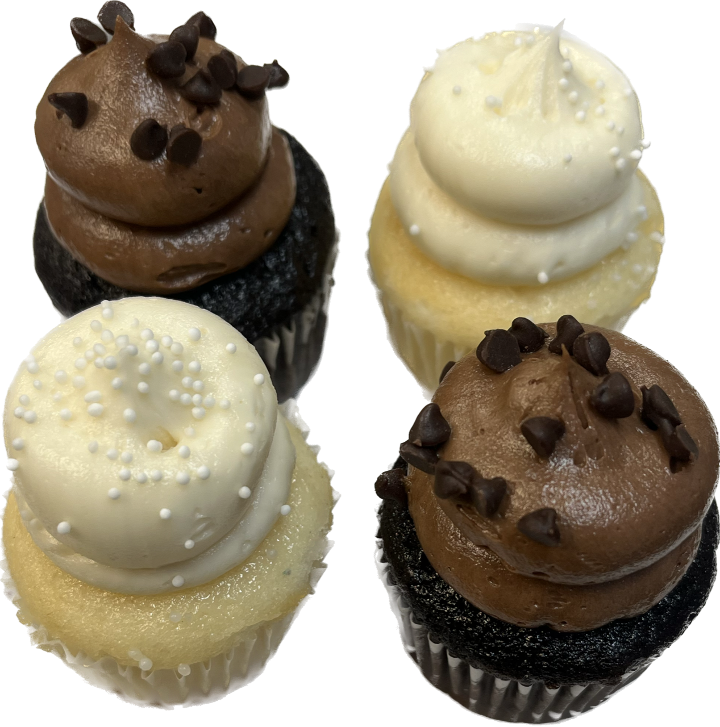 Chocolate and Vanilla Minis (4)