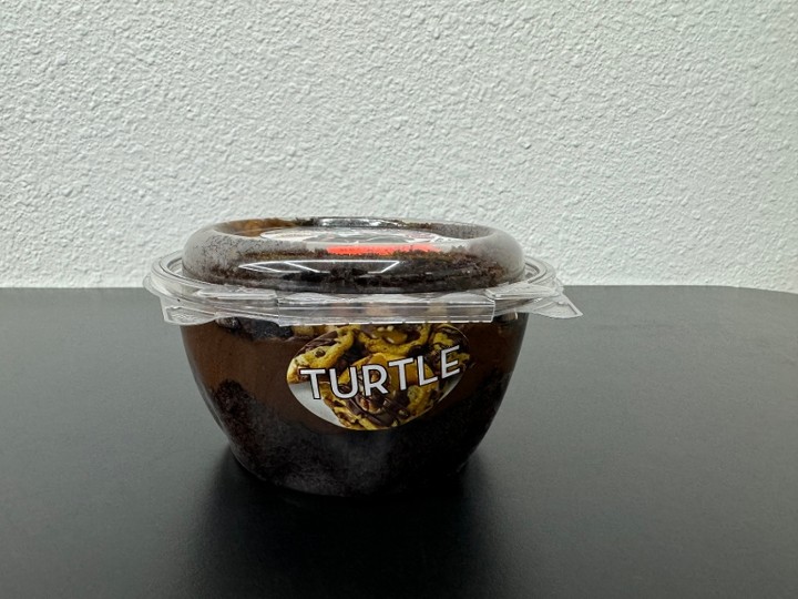 Turtle Cake Bowl