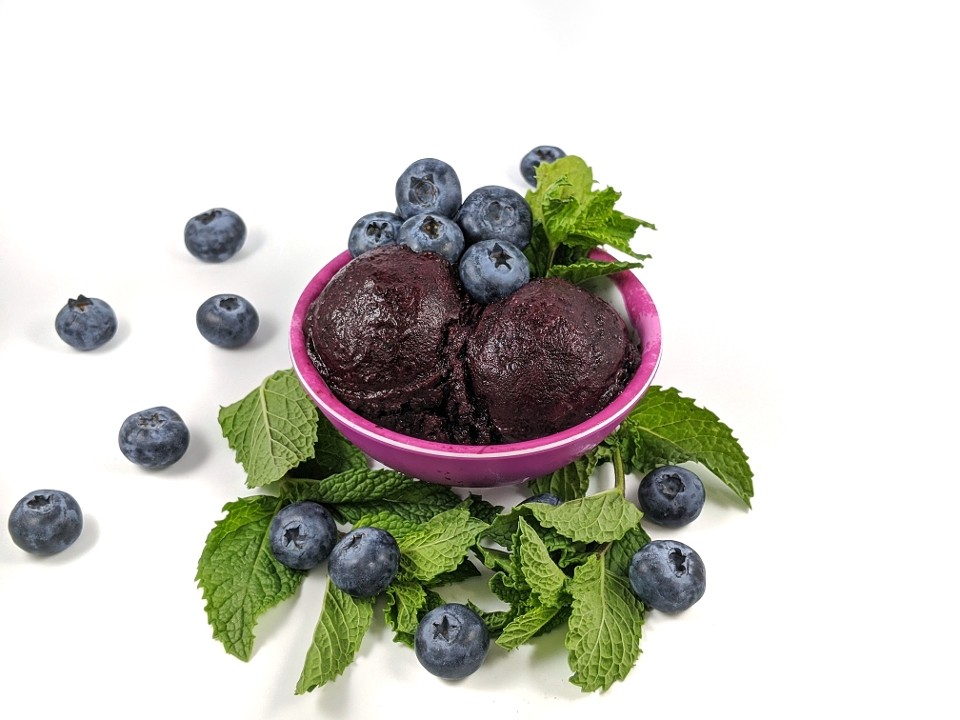 Blueberry Mint Sorbet (v)(gf) (PINT)