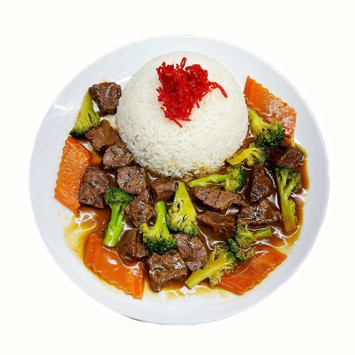 Stew Beef with Rice