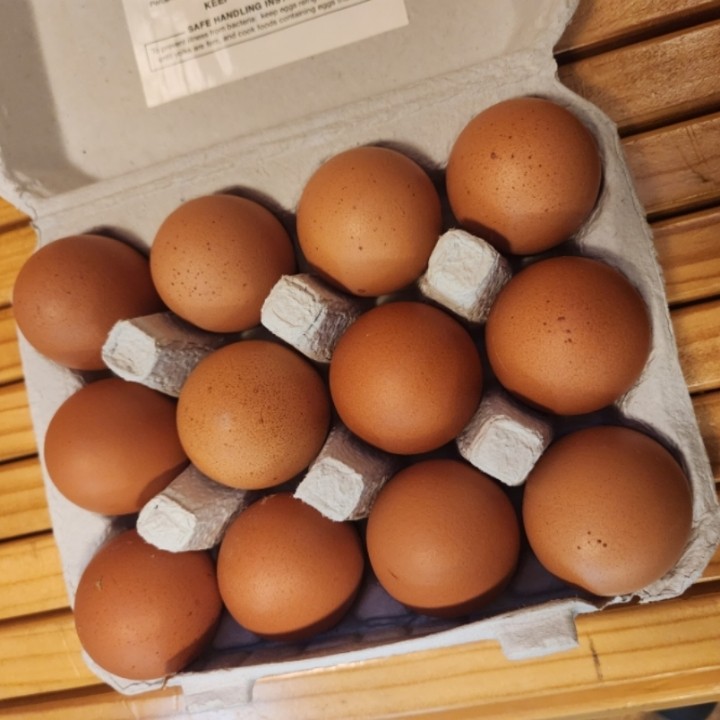 Plato Dale Eggs