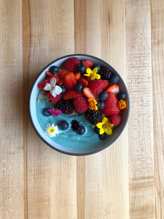 BLUE BOWL | GF | V