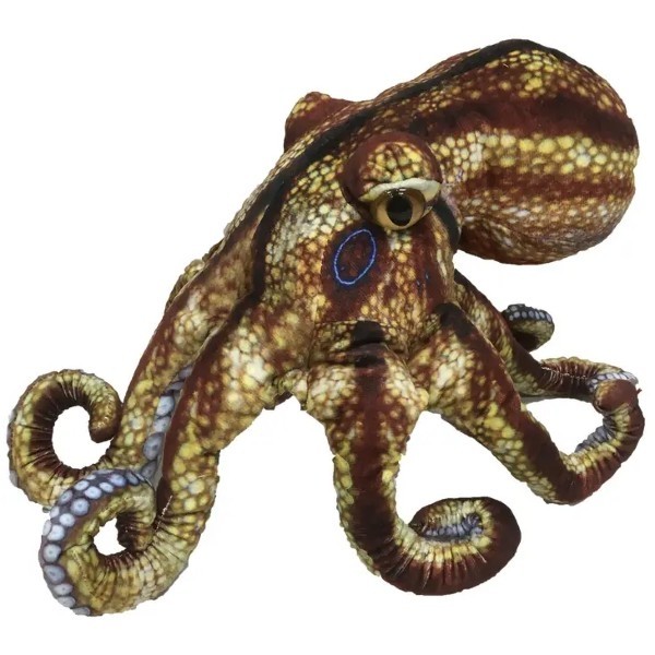 Aquatic Ocean Octopus