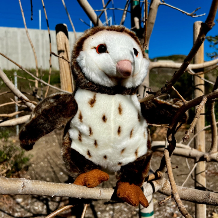 11" Stuffed Barn Owl-260