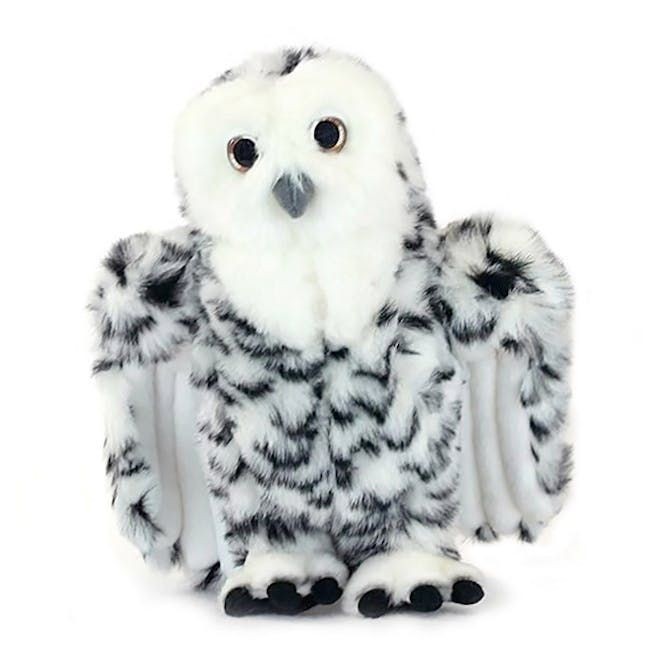 Owl Snowy