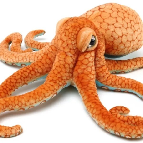 Olympus the Octopus