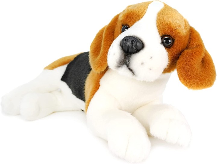 Burkham the Beagle