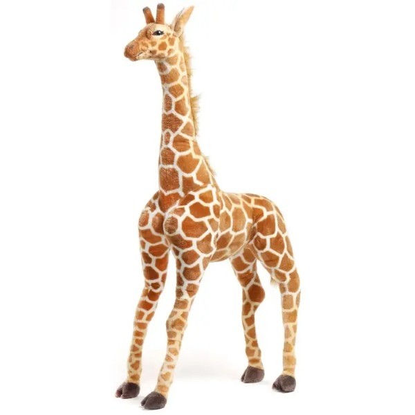 Jani the Giraffe