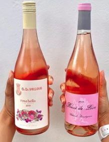 Rosé All Day! 2-pack