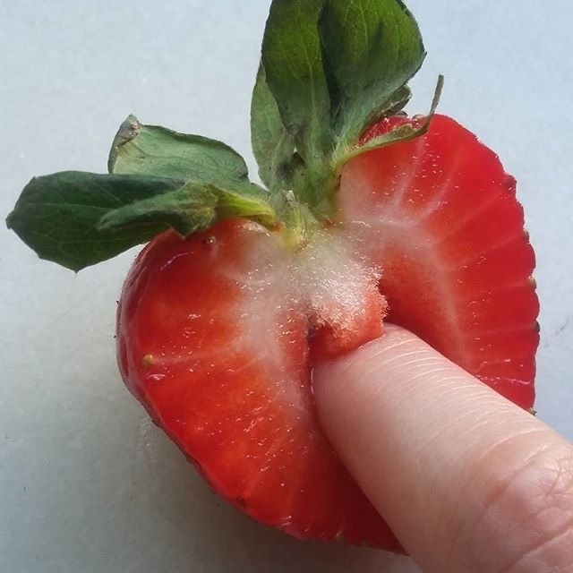 Strawberry Dickery - Strawberry Slushee