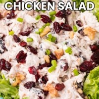 Pint of Chicken Salad
