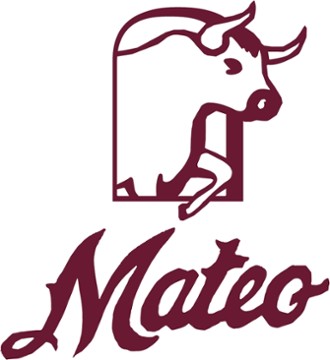 Mateo Tapas 109 w chapel hill st