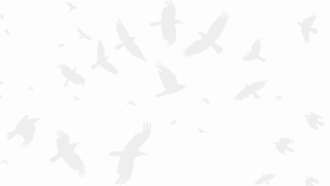 Flock 1415 Washington Boulevard