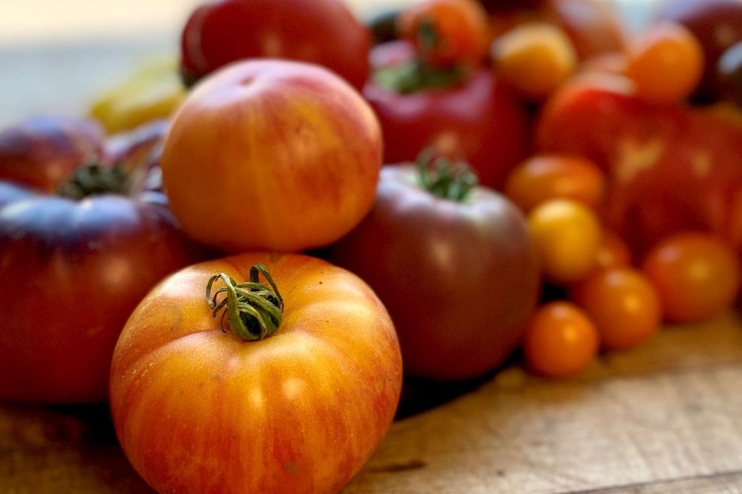 Lucca Wood-Fired Italian