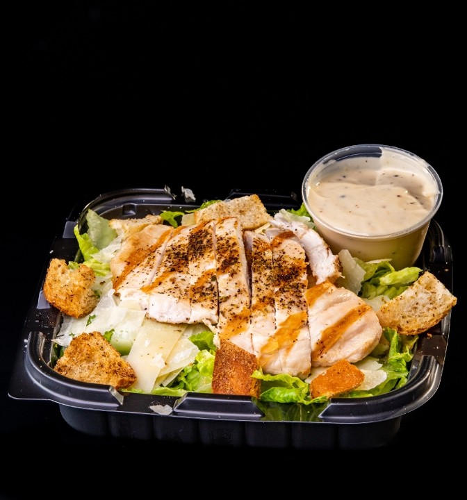 GRILLED CHICKEN CAESAR SALAD