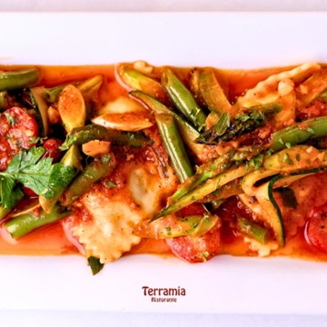 Terramia