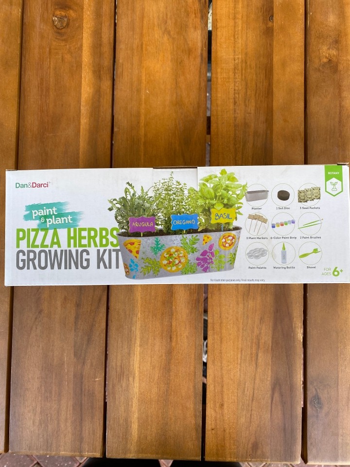 Paint & Plant Herb Growing Kit