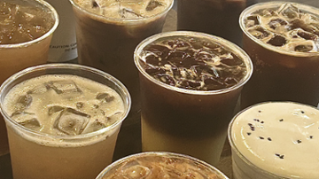 Black Turtle Coffee
