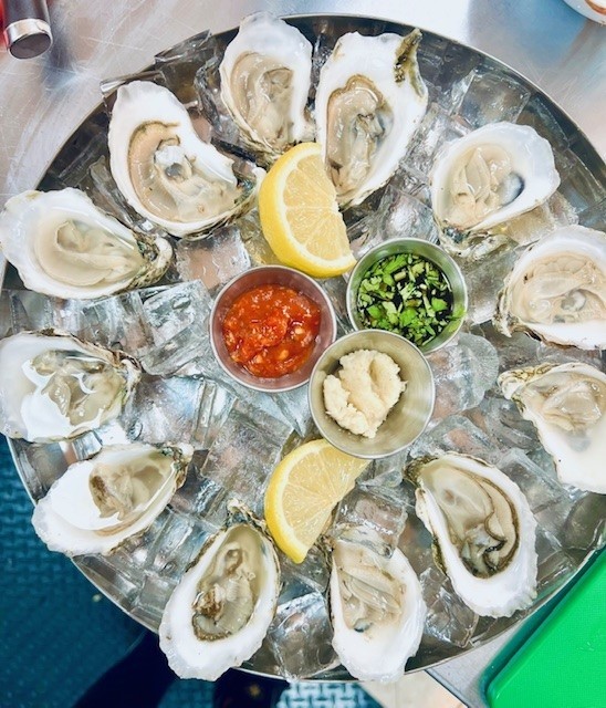 Oysters 1 Dz
