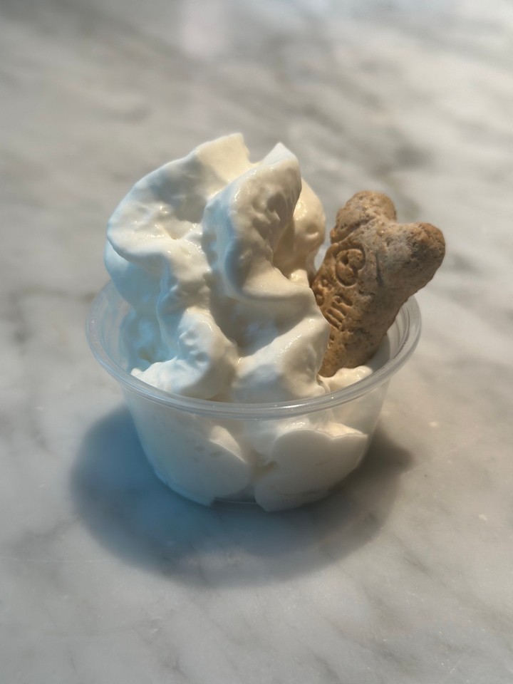 Pup Cup (Whipped Cream And A Dog Treat)