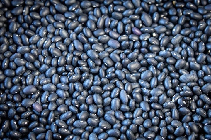 Midnight Black - Rancho Gordo Heirloom Beans