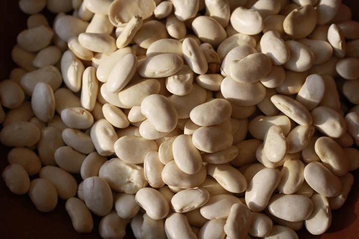 Cassoulet - Rancho Gordo Heirloom Beans