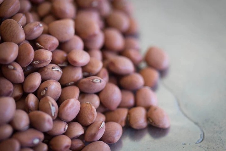 Pinquitos - Rancho Gordo Heirloom Beans