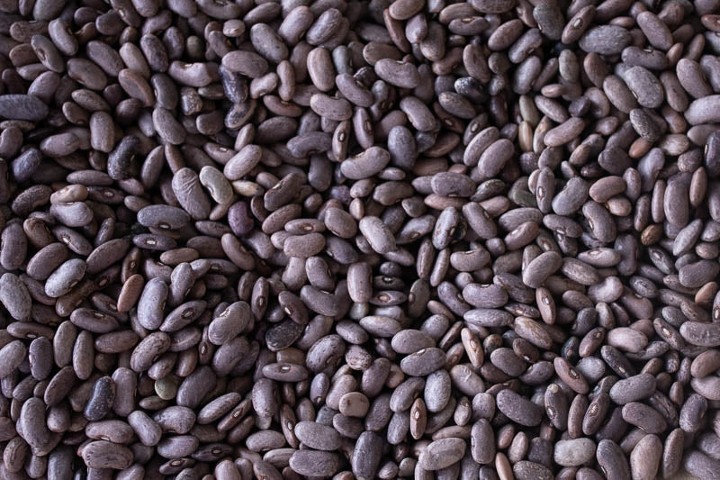 Rebosero - Rancho Gordo Heirloom Beans