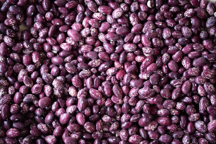 Whipple - Rancho Gordo Heirloom Beans