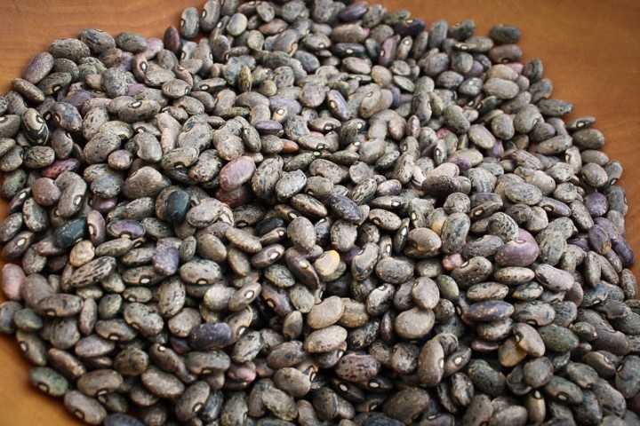Moro - Rancho Gordo Heirloom Beans