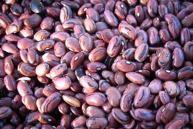 Rio Zape - Rancho Gordo Heirloom Beans