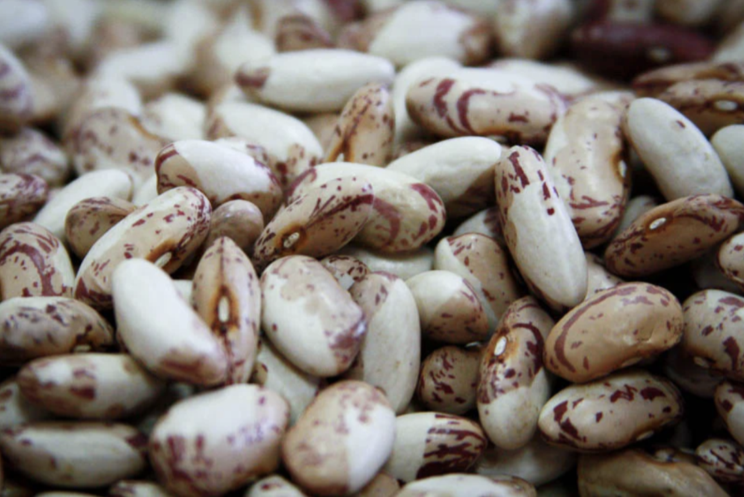 Snowcap - Rancho Gordo Heirloom Beans
