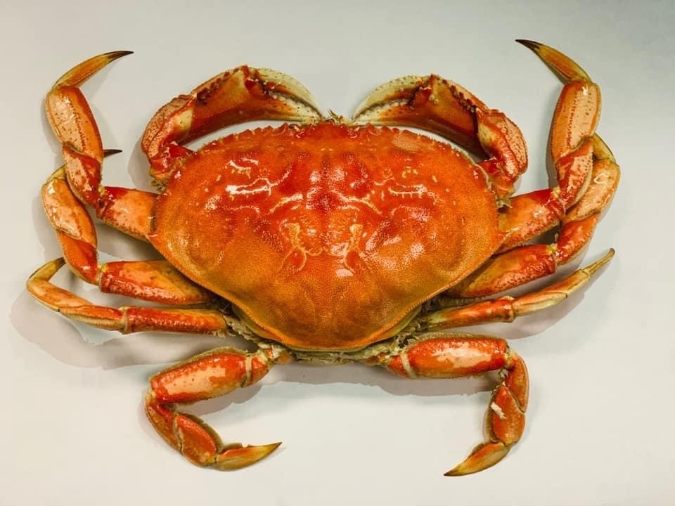 Whole Dungeness Crab (2LB to 2.5LB)