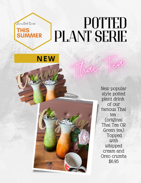 Summer Special - Potted Plant drink