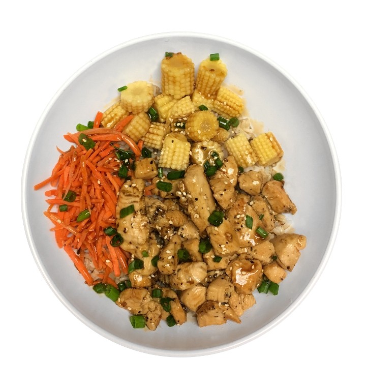 Teriyaki Bowl