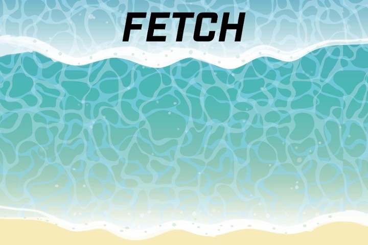Fetch 6-Pack