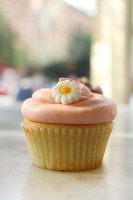 Vanilla Cupcake with Vanilla Buttercream*