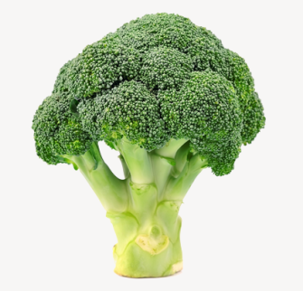 1 lb Broccoli