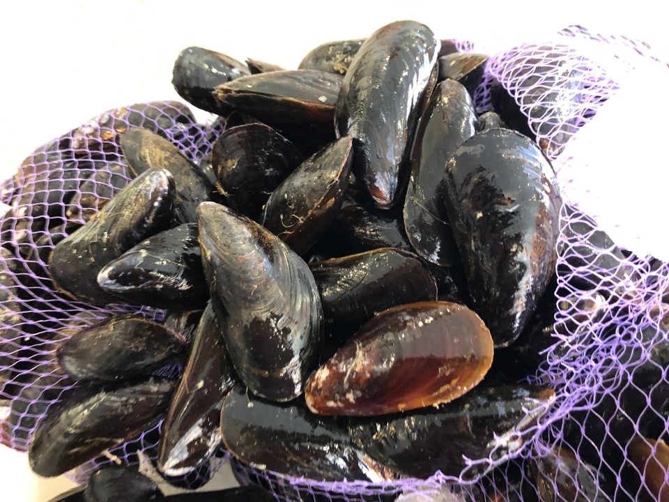 Live PEI Mussels - 2lb Bag
