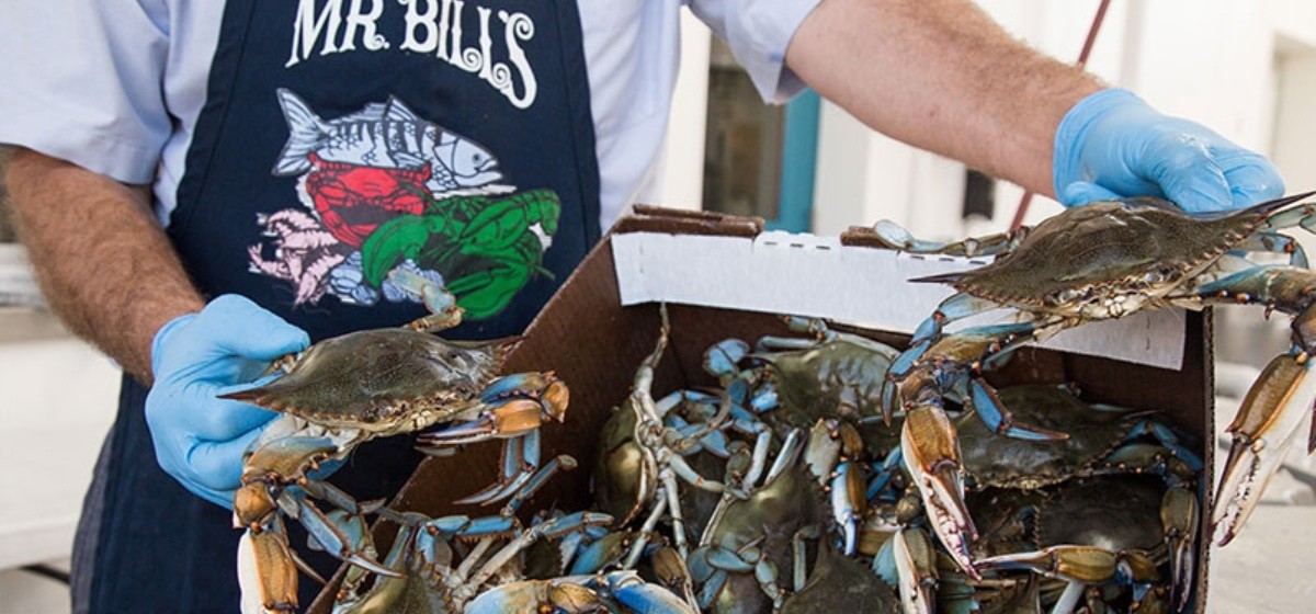 Mr. Bill's Fresh Seafood & The Fat Crab Cafe