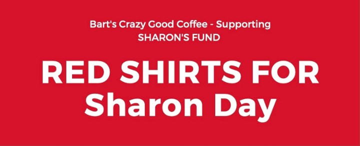 V-Neck Red Shirt for Sharon Fundraiser - Ladies  Tee