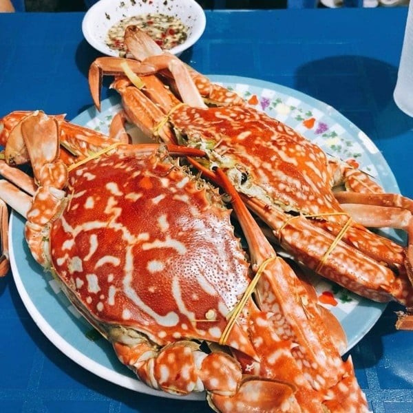 Vietnamese Flower Crab
