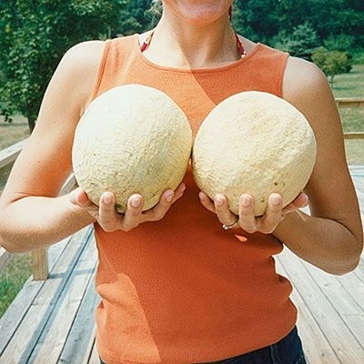 CHECK OUT THESE MELONS SLUSHEE!!!