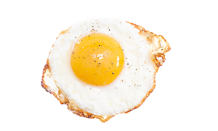 Egg (1)