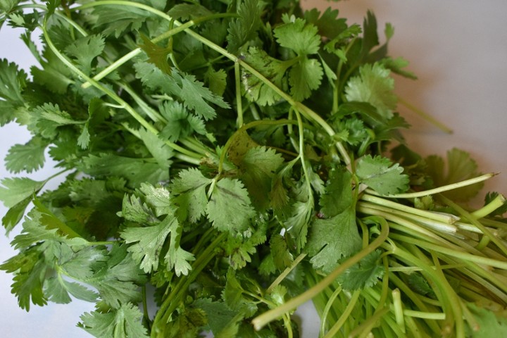 Cilantro (bunch)