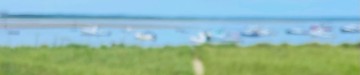 GroundSwell Surf Cafe Seabrook