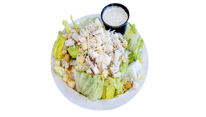 Small Chicken Caesar Salad