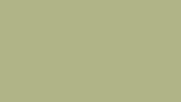 Stay Cafe