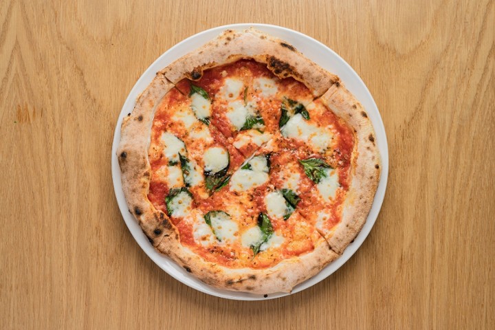 Margherita Pizza (v)