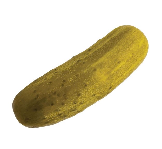 Jumbo Pickle